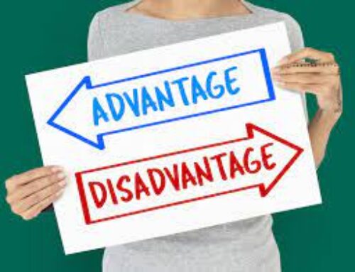 Advantages vs Disadvantages of security screens